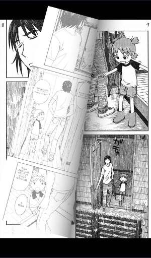 Page Flip